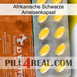 Africa Black Ant Capsule 42